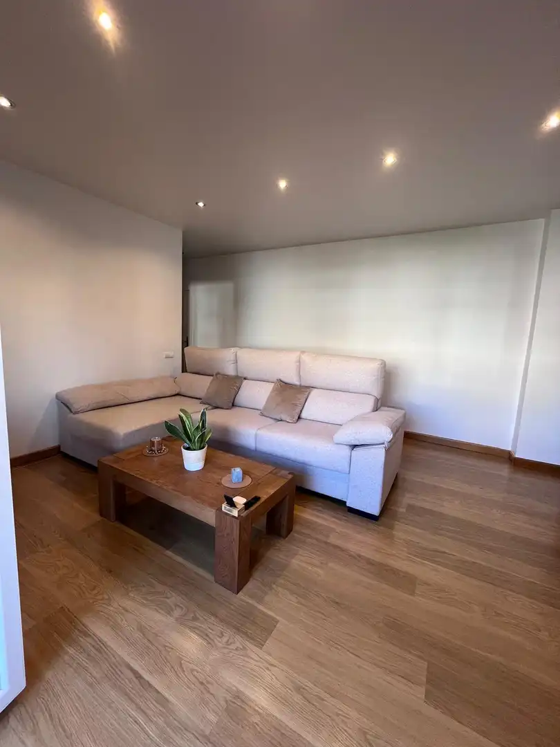 Living room of Apartments for rent in Roquetas de Mar  with Air Conditioner, Terrace and Furnished