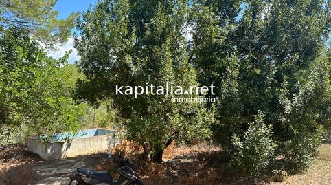 Foto 4 de Casa o xalet en venda a El Pilar, Valencia