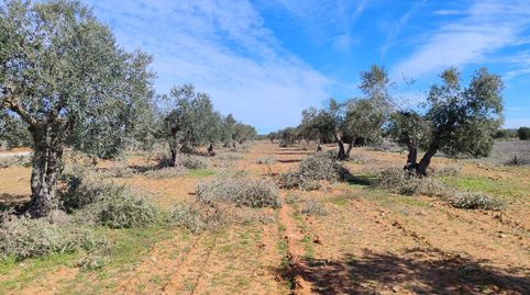 Foto 3 von Grundstücke zum Verkauf in Carretera de Valdilecha, 39, El Mirador - Grillero, Arganda del Rey