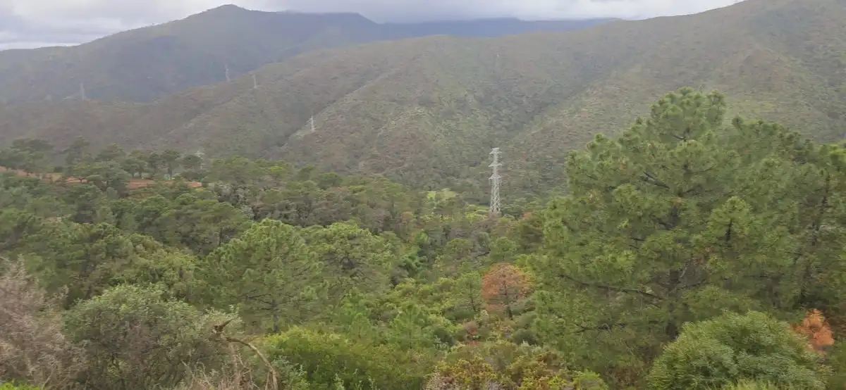 Terrenys i solars en venda a Benahavís pueblo, imagen 7