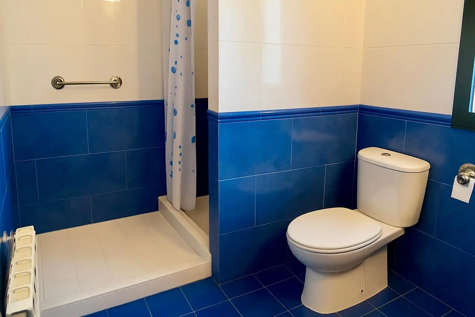 Bathroom of Houses for sale in Cocentaina  with Heating, Private garden and Parquet flooring