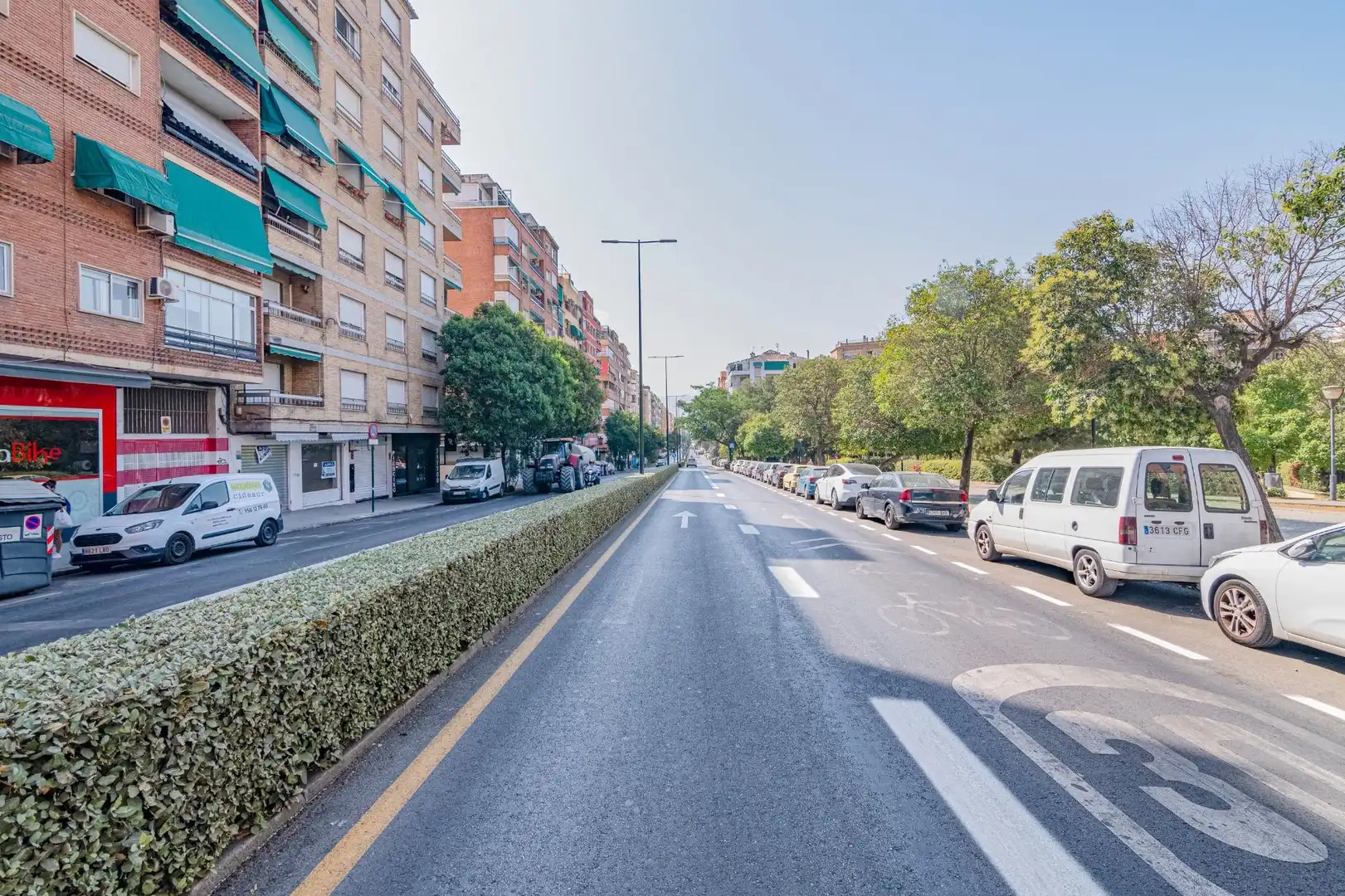 Local comercial en venta en Calle PROFESOR TERCEDOR DIAZ 4, imagen 6