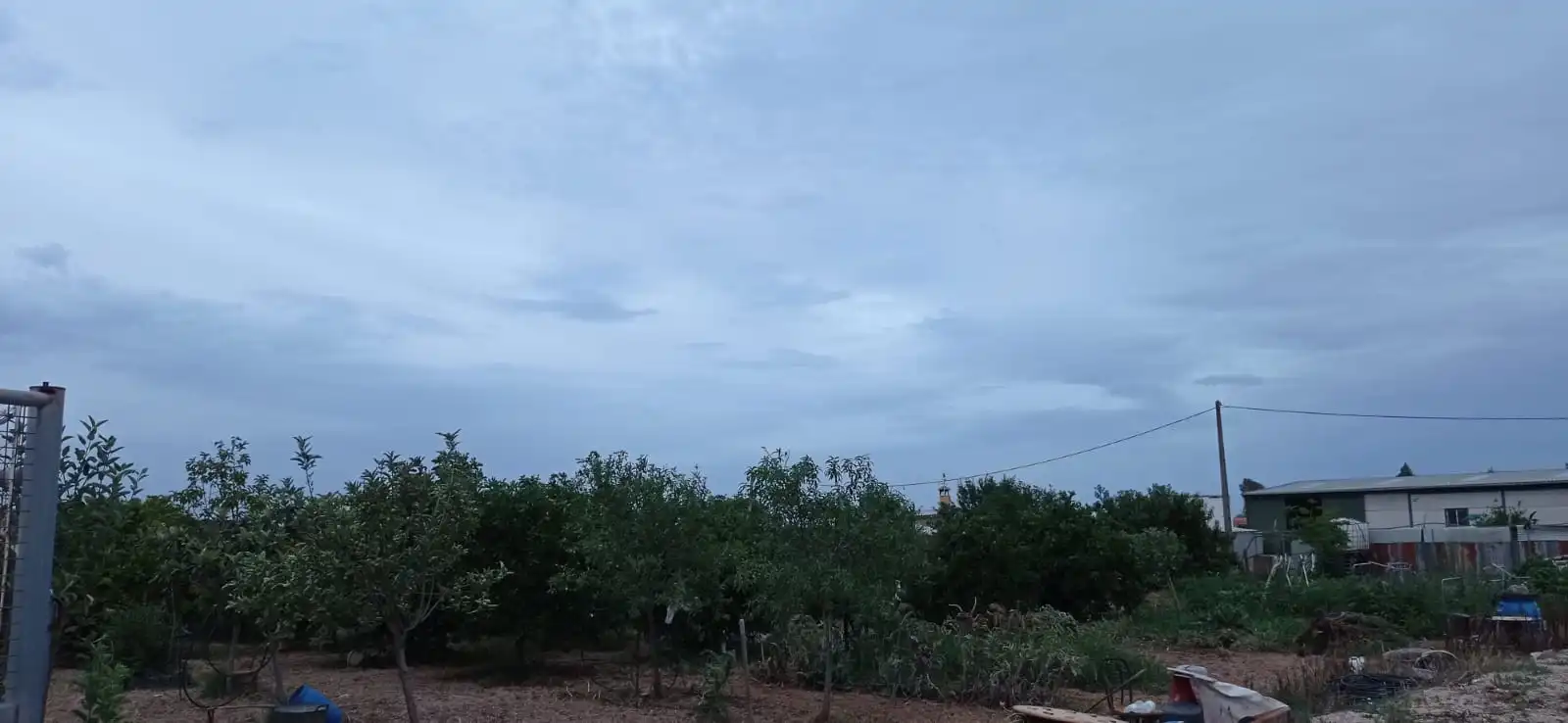 Terreny rústic en venda a La Algaba