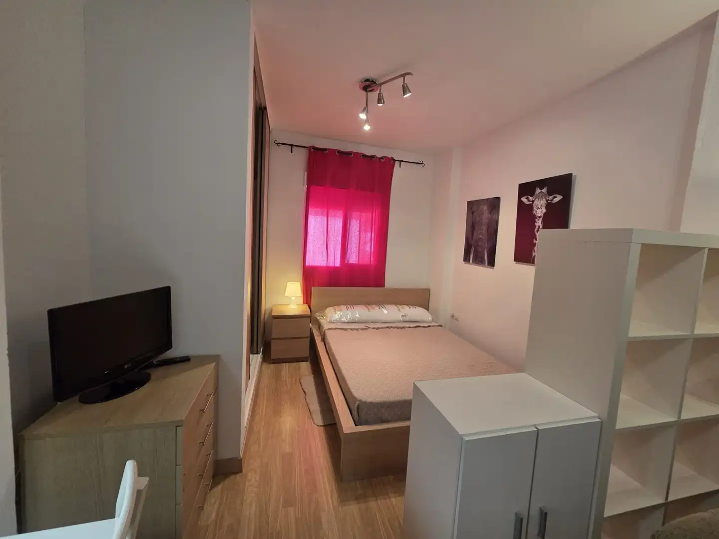 Study for rent in Plaza de Fortuny, 24, San Matías - Realejo
