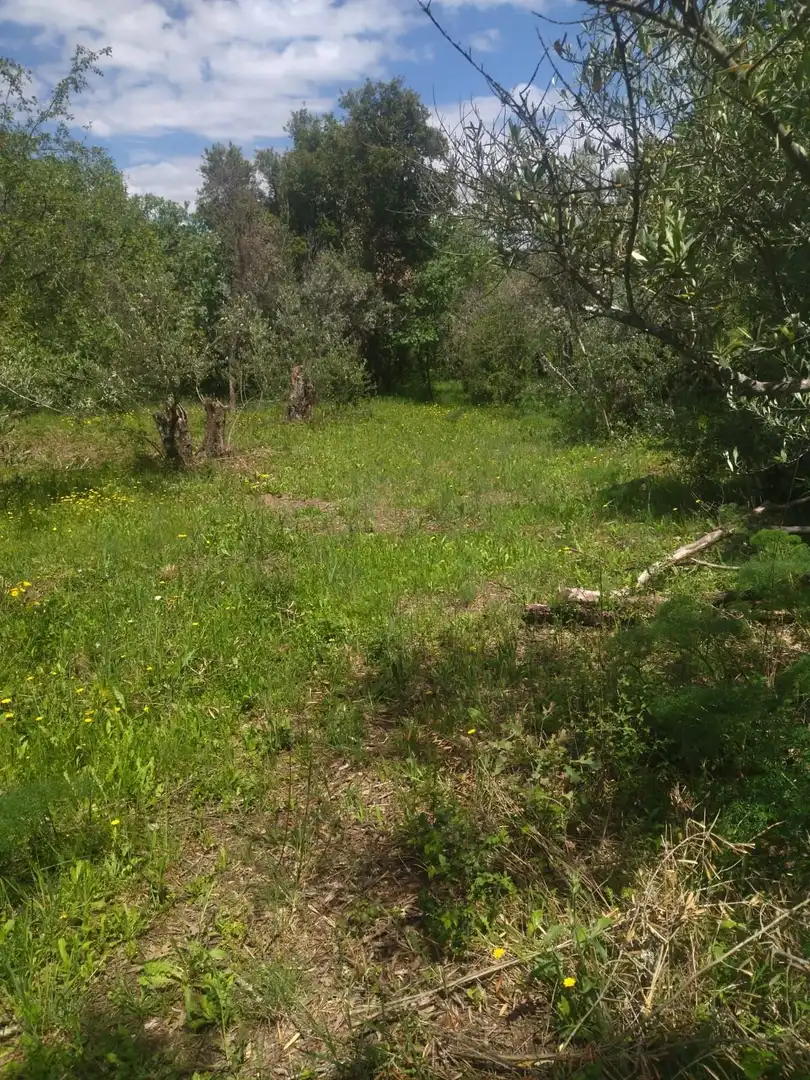 Terreni e lotti in vendita a Villanueva de la Vera, imagen 5