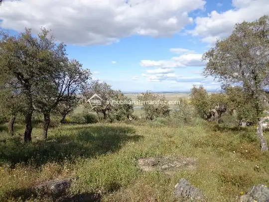 Terreni e lotti in vendita a Sierra de Fuentes, imagen 3