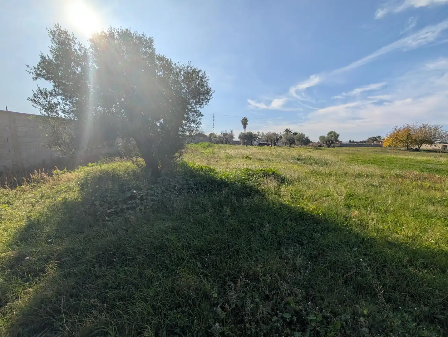 Terreno rustico in vendita a Partidas de interior - Zona Rústica, imagen 31