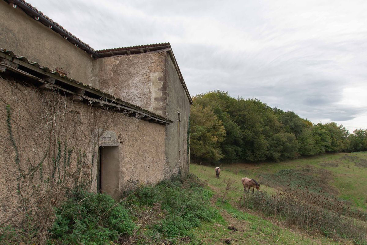Exterior view of House or chalet for sale in Anue