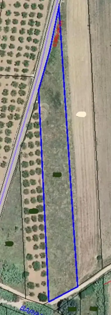 Terreny rústic en venda a Carretera Villafames, imagen 3