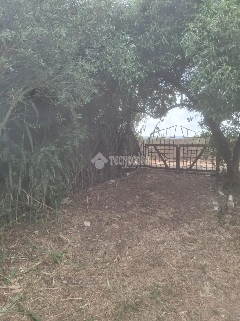 Casa rústica en venda a Barbate ciudad, imagen 10