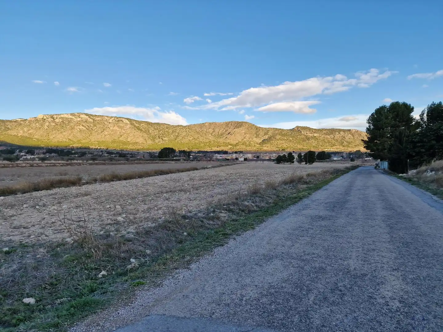 Terreni e lotti in vendita a Monóvar  / Monòver, imagen 7