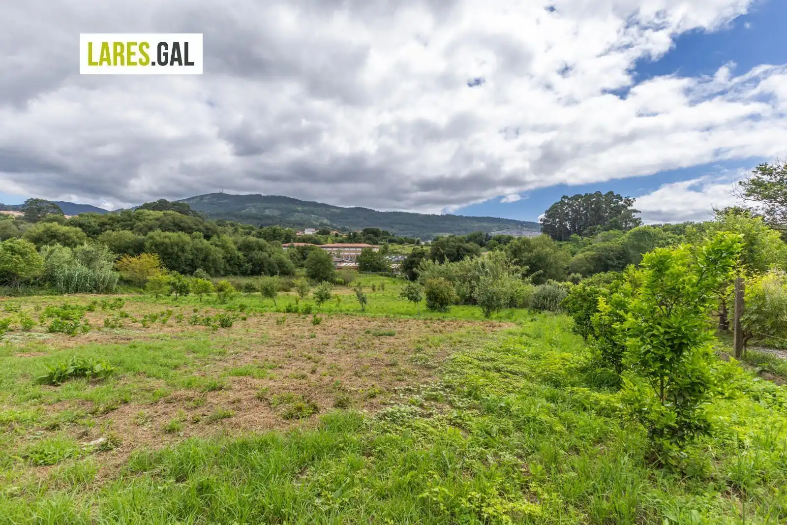 Terrain rustique à vendre à Lugar de Pozonegro, imagen 6