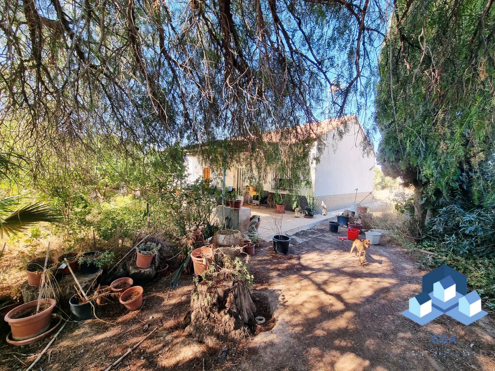 Vista exterior de Casa o xalet en venda en Lorca amb Aire condicionat, Jardí privat i Terrassa