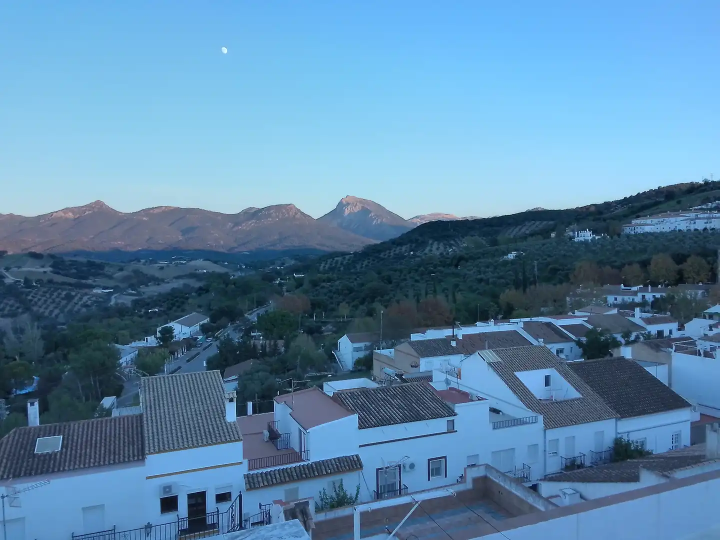 Vista exterior de Casa o chalet en venta en Prado del Rey con Jardín privado, Terraza y Amueblado