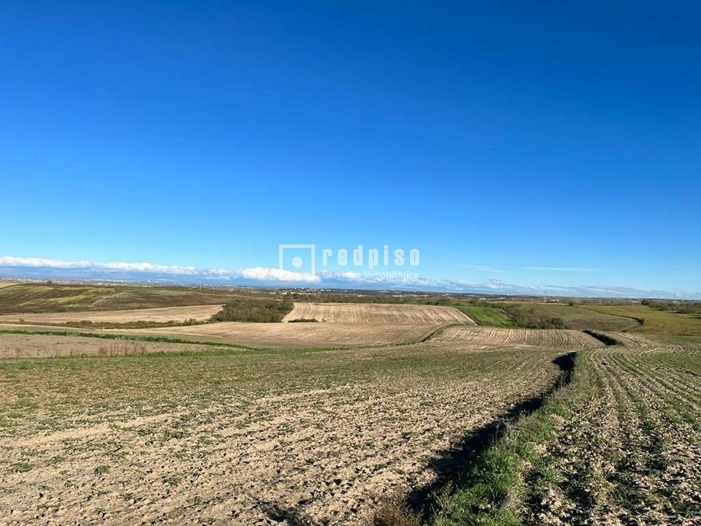 Industrial land for sale in El Viso de San Juan