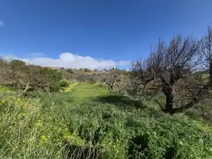 Finca rústica en venta en El Rosario con Jardín privado, Terraza y Trastero