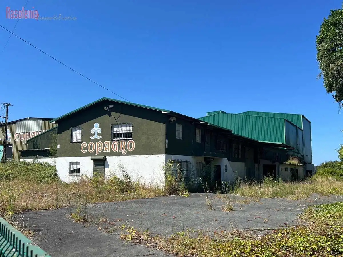 Industriegebäude zum Verkauf in Ribo 6, imagen 20