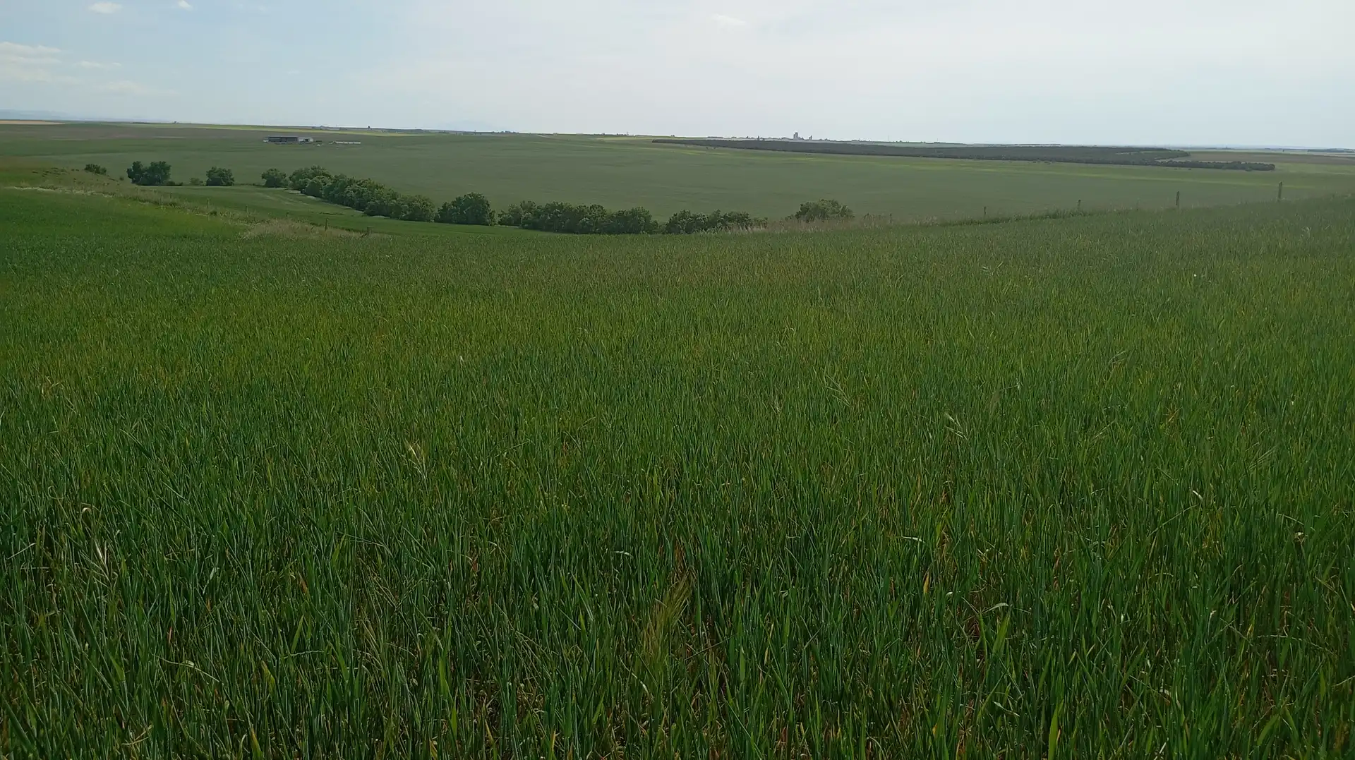 Land for sale in Calle Iglesia, Cantaracillo