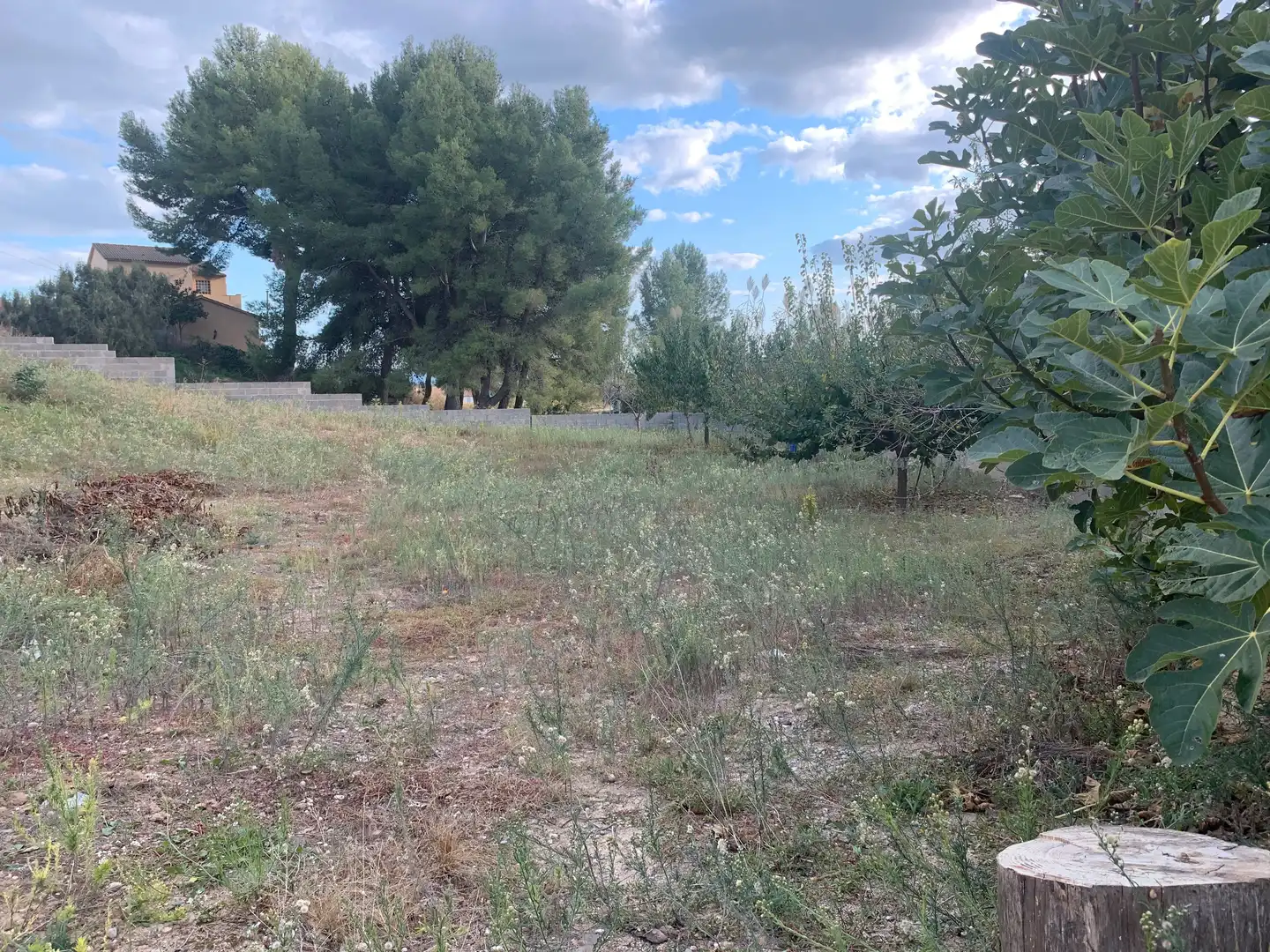 Terreno residencial en venta en Mas d'en Gall, imagen 4