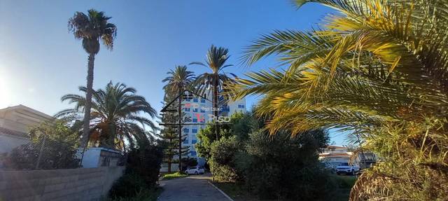 Piso en Alquiler en Avenida del Papa Luna en Zona Papa Luna - Platja del Gurugú