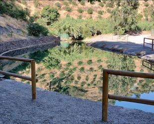 Piscina de Finca rústica en venda en Los Guajares