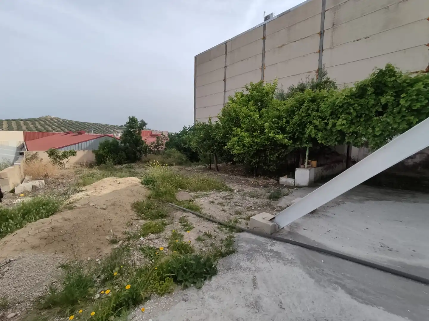 Nave industrial en venta en Jaén