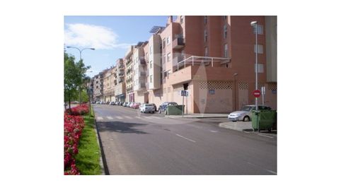 Foto 2 von Geschaftsraum zum Verkauf in Valdepasillas - La Paz - Huerta Rosales, Badajoz Capital