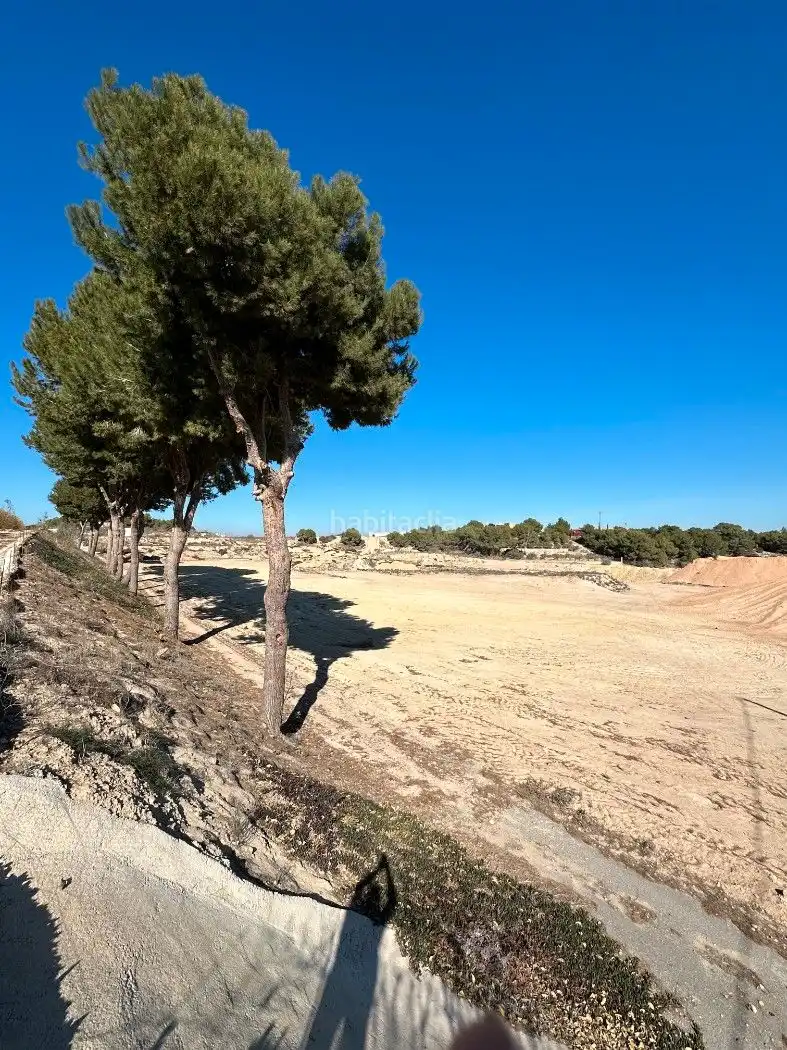 Terrain rustique à vendre à Camino de Catral 31, imagen 25