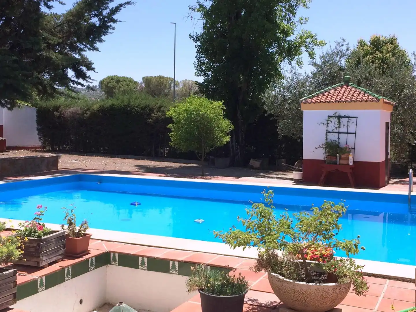 Xalet amb piscina en venda a Baeza, imagen 3