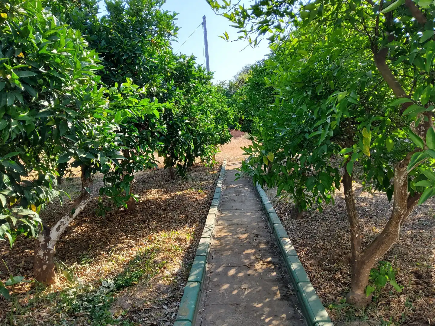 Casa o xalet en venda en Córdoba