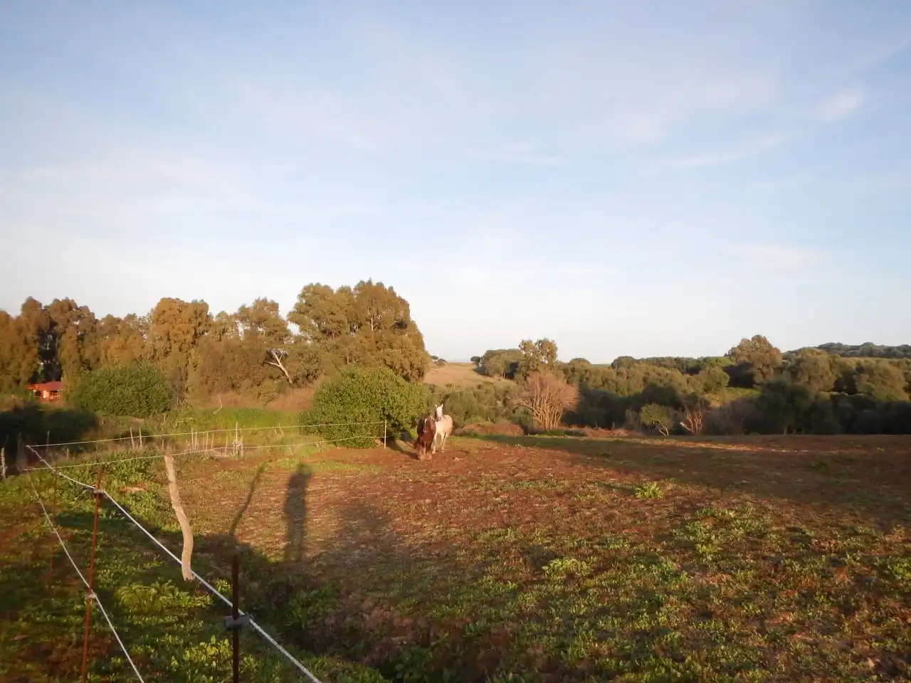Haus oder Chalet zum Verkauf in Vejer de la Frontera mit Heizung, Privatgarten und Parkett