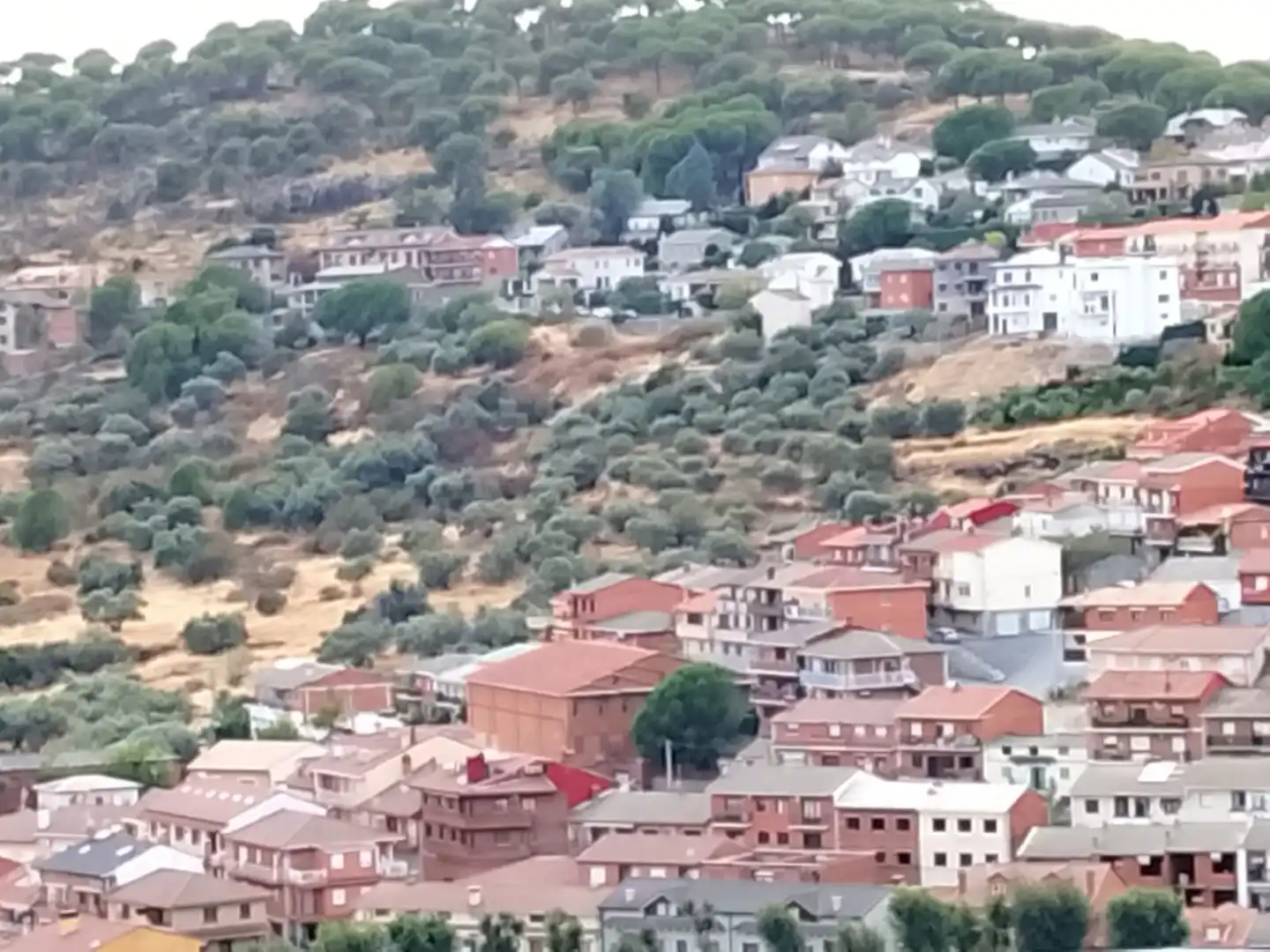 Terreni e lotti in vendita a El Hoyo de Pinares, imagen 17