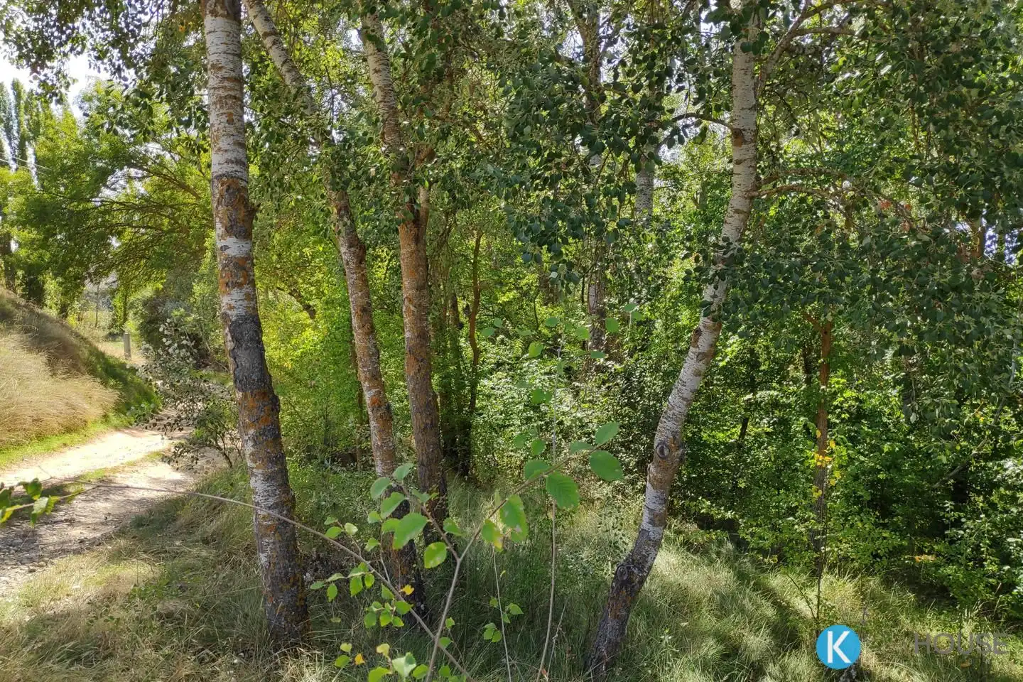Residencial en venta en Jirueque