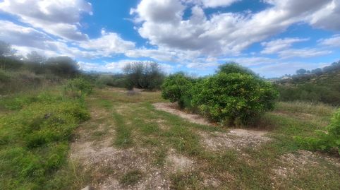 Foto 3 de Finca rústica en venta en Benissa pueblo, Benissa