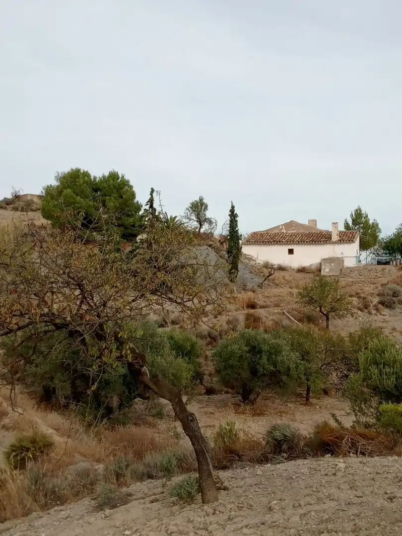 Country homes for sale in Puerto Lumbreras