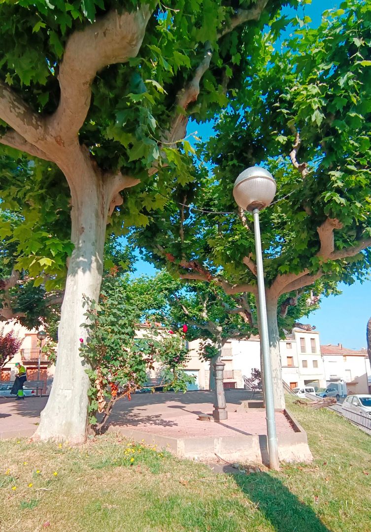 Exterior view of Single-family semi-detached for sale in La Fuliola  with Heating, Private garden and Oven