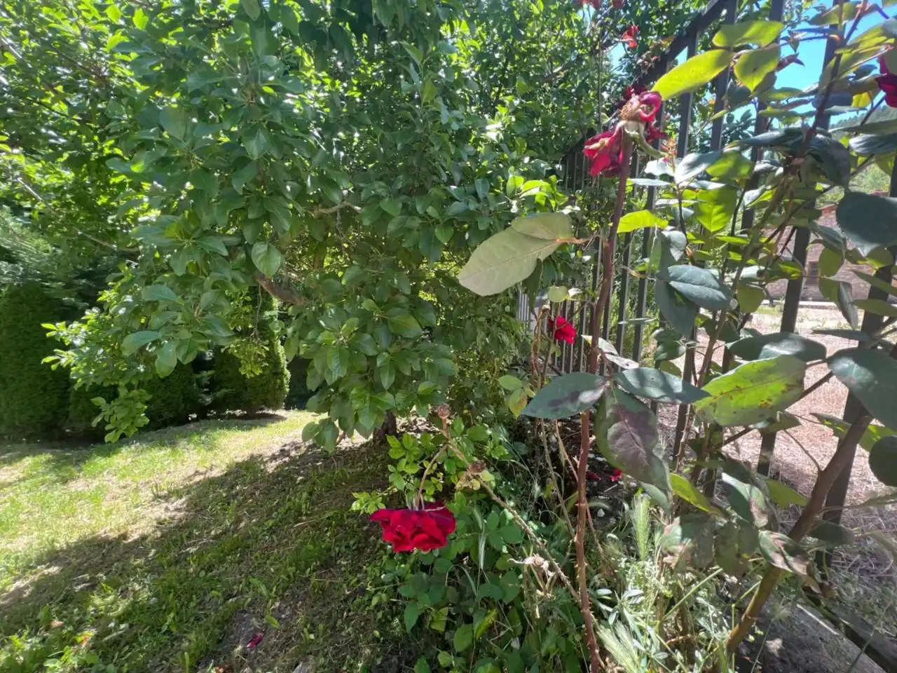 Garden of Houses for sale in Tubilla del Agua  with Heating, Private garden and Terrace