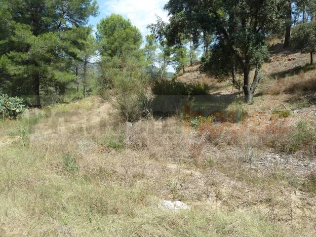 Terreno residencial en Venta en Calle de la Vallesa en Riudecanyes