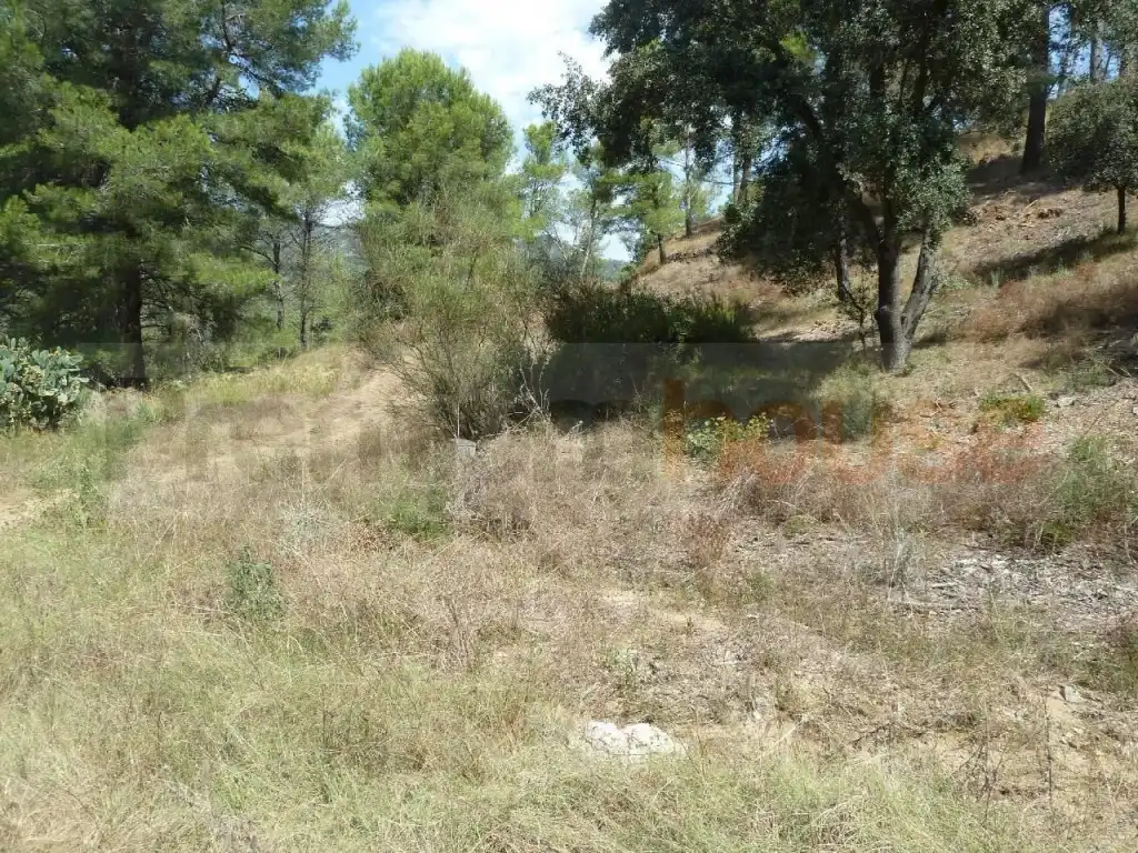 Terreno residenziale in vendita a Calle de la Vallesa