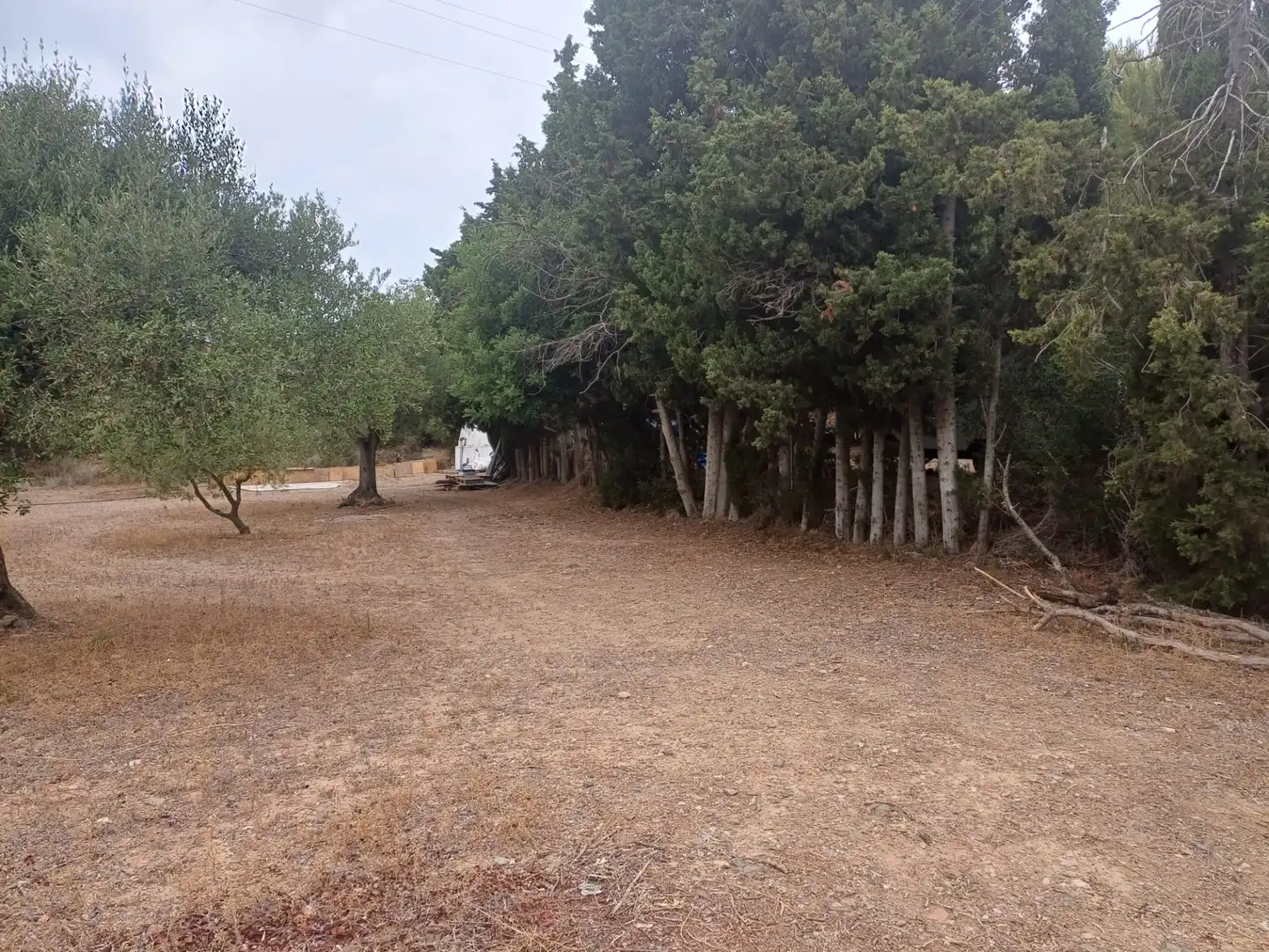 Terreno en venta en Vilanova d'Escornalbou