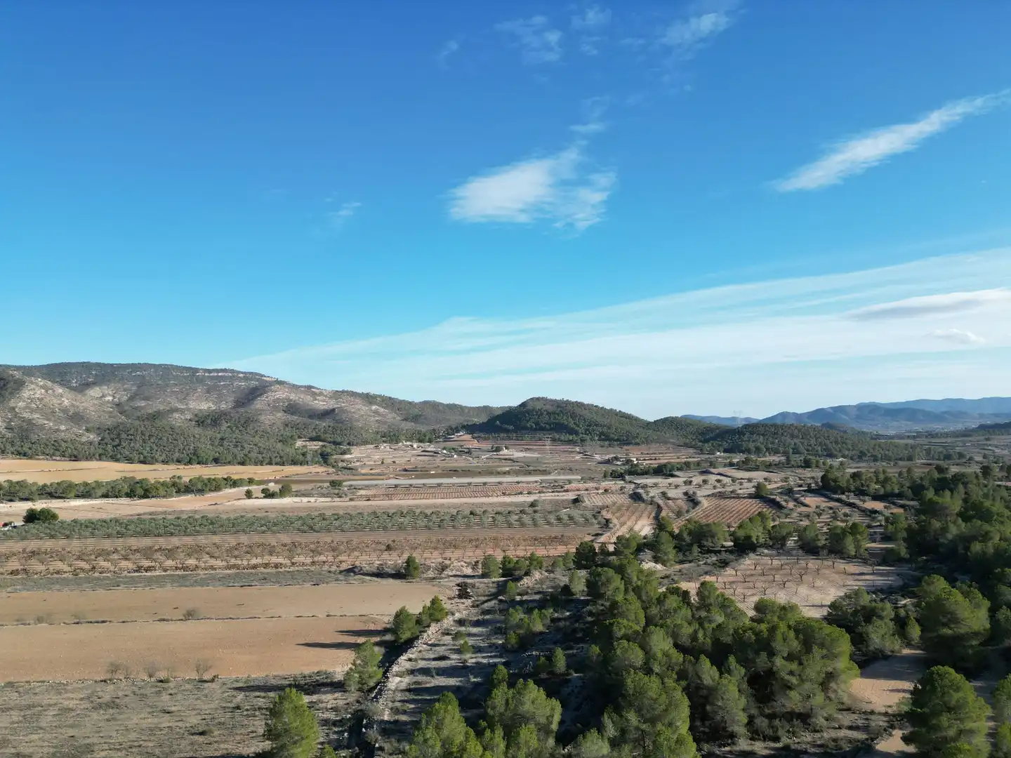 Terreny residencial en venda a Monóvar  / Monòver, imagen 12