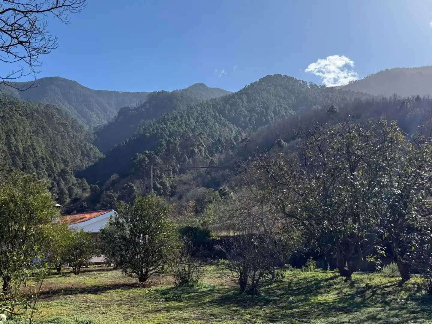 Exterior view of Flat for rent in La Orotava  with Private garden and Furnished