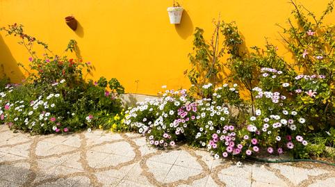 Foto 4 de Casa o chalet de alquiler en Calle Rompeolas, La Barrosa, Chiclana de la Frontera