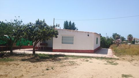 VENTA DE PROPIEDAD EN CARTAYA, CAMINO BALLECAMBA, MALPICA, A DOS KILOMETROS DEL ROMPIDO Y DOS KM CARTAYA 5000M2