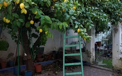 Garden of House or chalet for sale in La Algaba  with Terrace