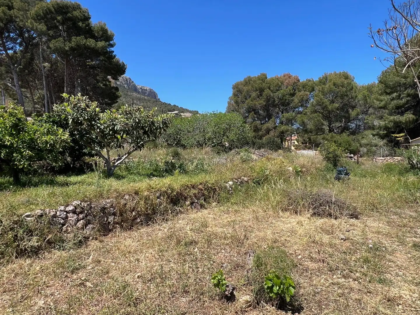 Houses for sale in Benicolada - Las Adelfas