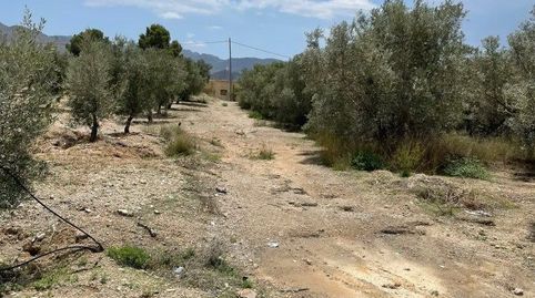 Terreno Rústico en venta en HuércalOvera., immagine 4