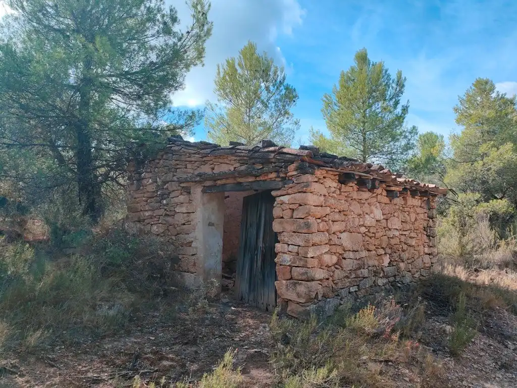 Terreni e lotti in vendita a La Portellada