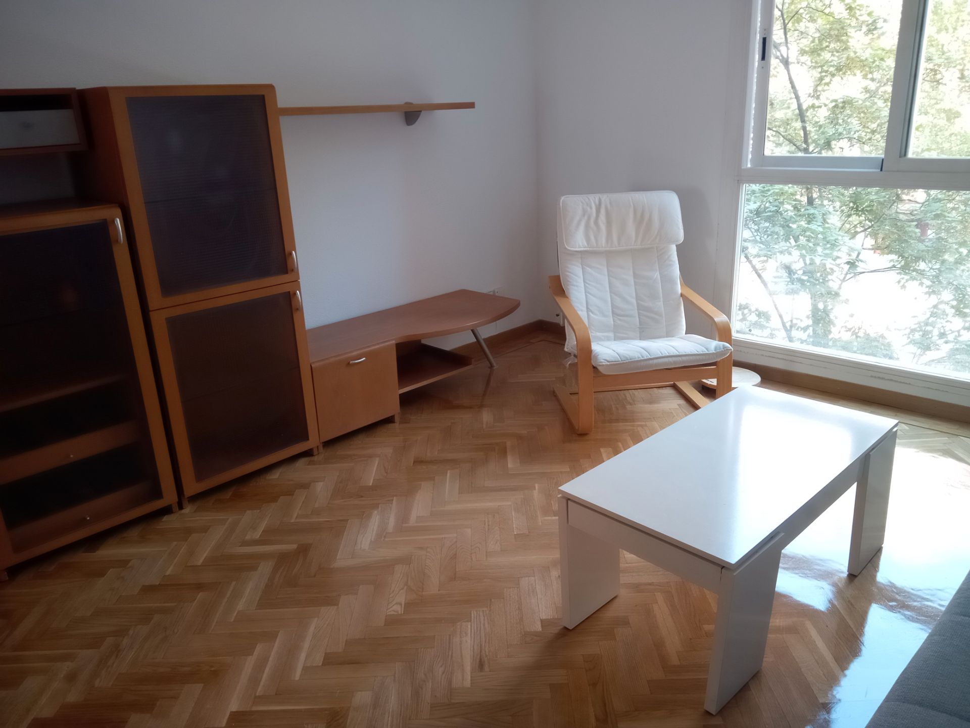 Living room of Apartment to rent in  Madrid Capital  with Heating, Parquet flooring and Storage room