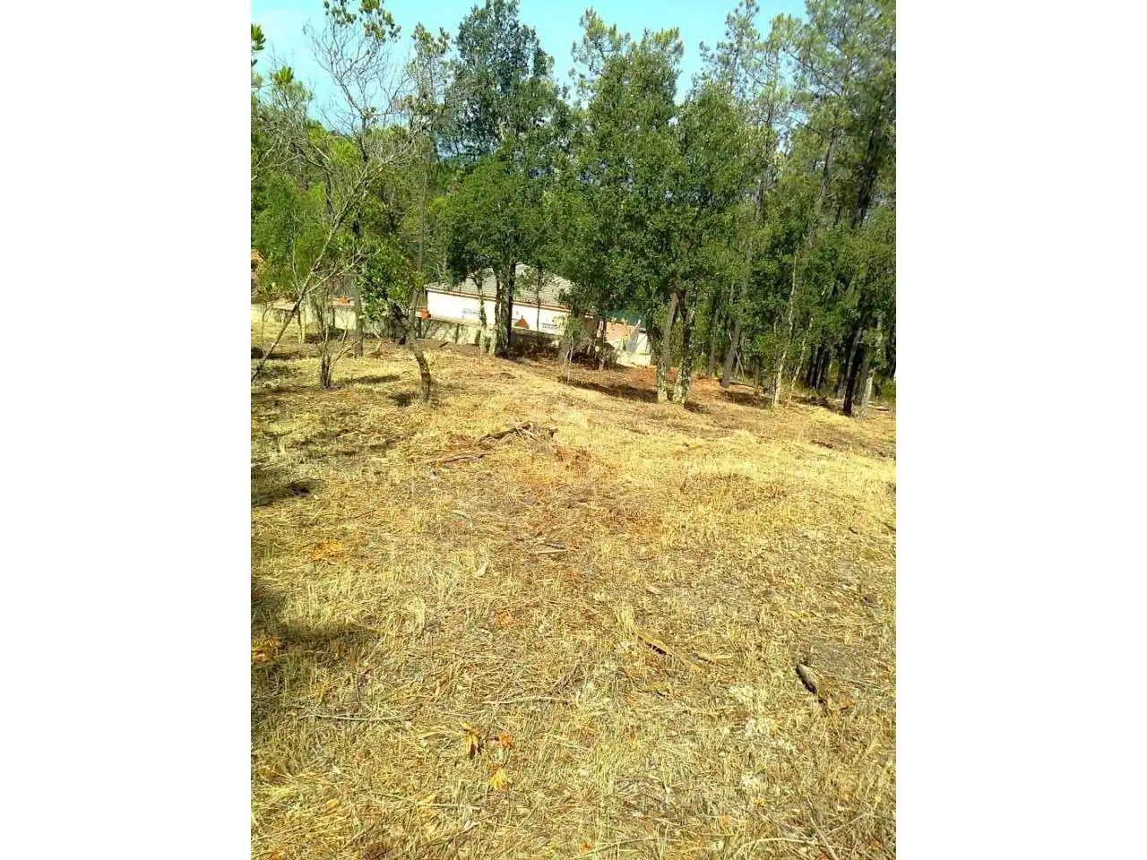 Terrain rustique à vendre à Urbanizacion MALAVELLA PARK, imagen 8